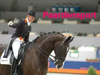 paardensport