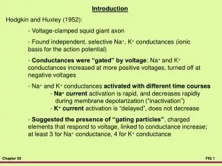 Introduction Hodgkin and Huxley (1952): 	- Voltage-clamped squid giant axon