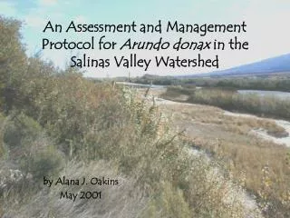 An Assessment and Management Protocol for Arundo donax in the Salinas Valley Watershed