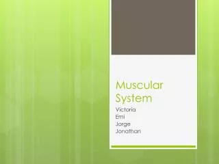 Muscular System