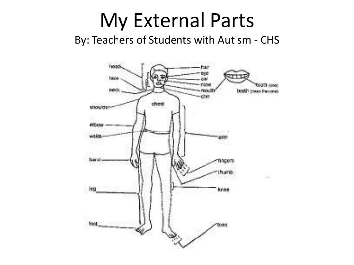 my external parts by teachers of students with autism chs