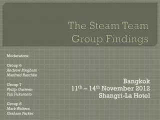 The Steam Team Group Findings