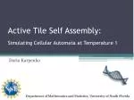 Active Tile Self Assembly: - slide 1
