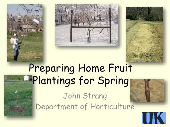 preparing home fruit plantings for spring