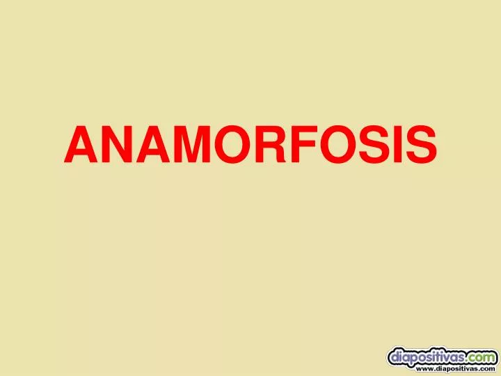 anamorfosis