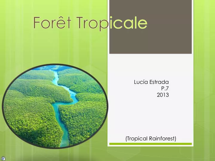 Tropical rainforest - Wikipedia