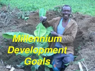 millennium development goals