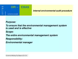 Internal environmental audit procedure