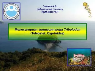 Молекулярная эволюция рода Tribolodon (Teleostei: Cyprinidae)