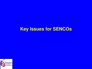 Key Issues for SENCOs