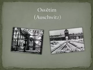 osv tim auschwitz