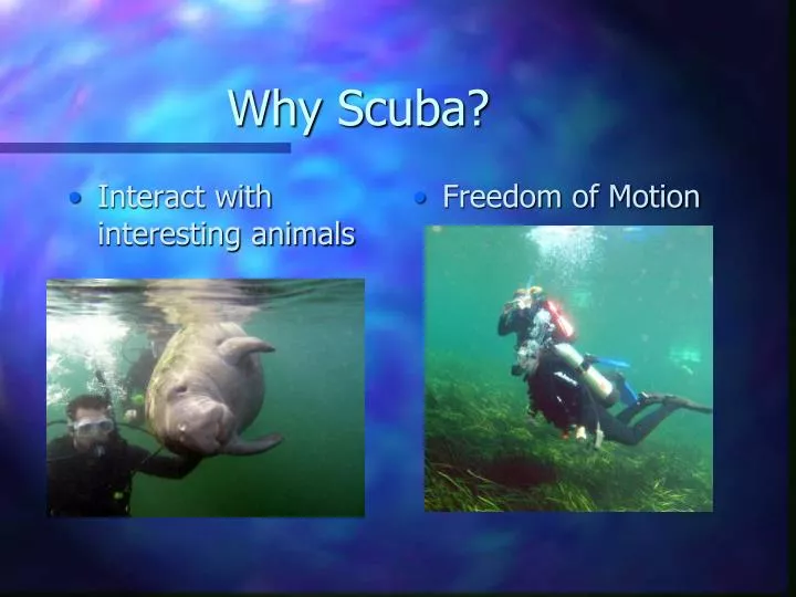 why scuba