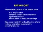 PATHOLOGY - slide 1