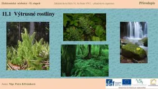 11 1 v trusn rostliny
