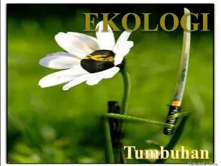 tumbuhan