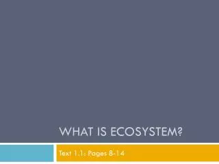 What is Ecosystem?