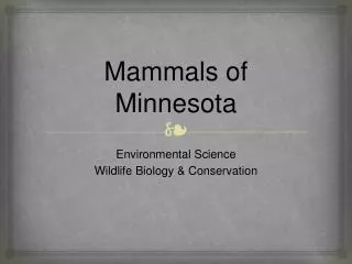 Mammals of Minnesota