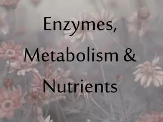 Enzymes, Metabolism &amp; Nutrients