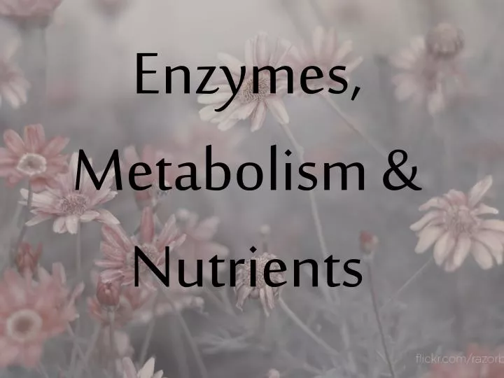 enzymes metabolism nutrients