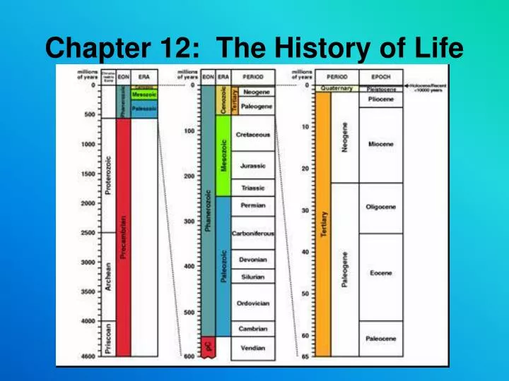 chapter 12 the history of life