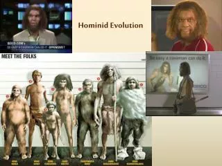 Hominid Evolution