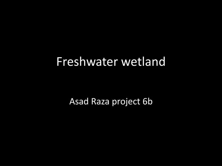 freshwater wetland