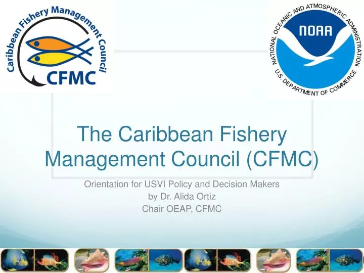 the caribbean fishery management council cfmc
