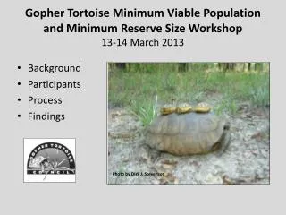 Gopher Tortoise Minimum Viable Population and Minimum Reserve Size Workshop 13-14 March 2013