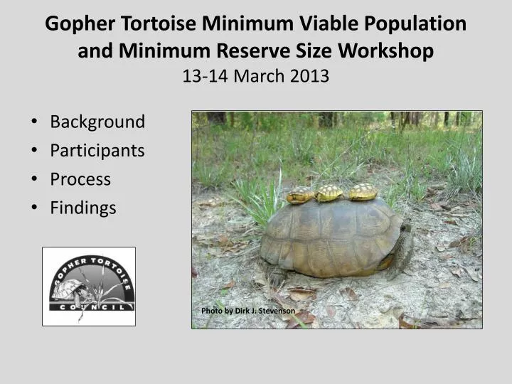 gopher tortoise minimum viable population and minimum reserve size workshop 13 14 march 2013