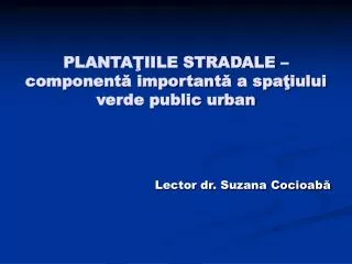 planta iile stradale component important a spa iului verde public urban