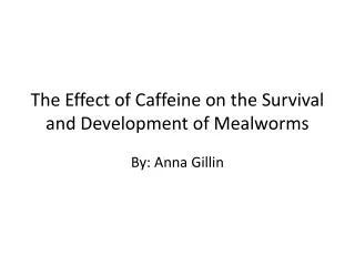 The Effect of Caffeine on the Survival and Development of Mealworms