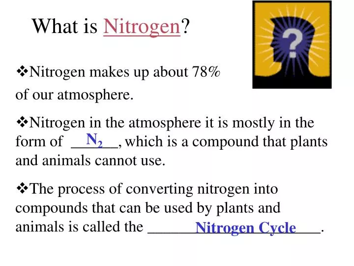 what is nitrogen