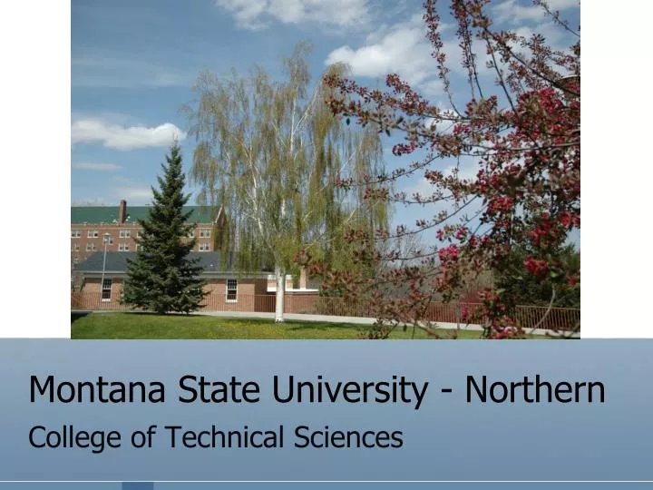 montana state university northern