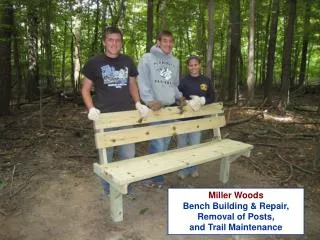 Miller Woods Bench Building &amp; Repair, Removal of Posts, and Trail Maintenance