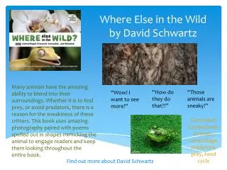 Where Else in the Wild by David Schwartz