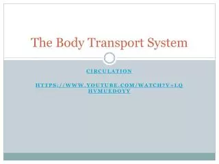 The Body Transport System
