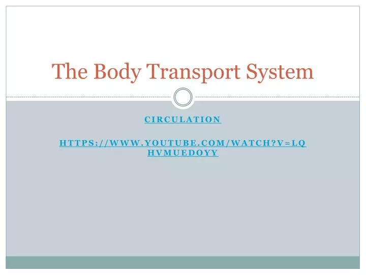 the body transport system