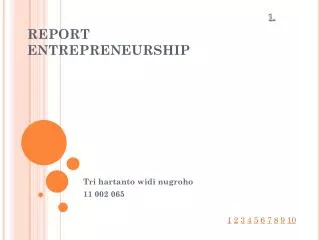 report entrepreneurship