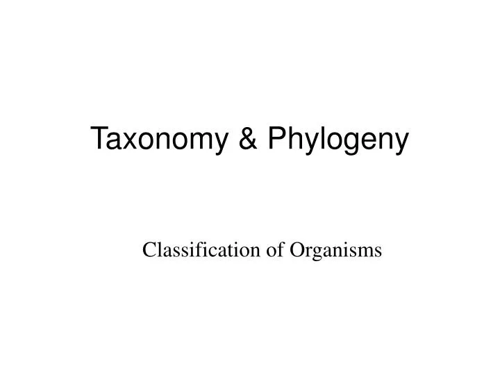 taxonomy phylogeny