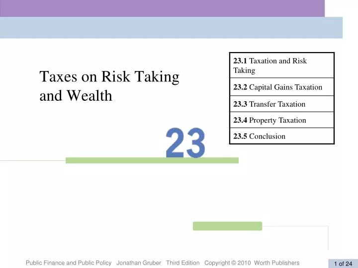 taxes on risk taking and wealth