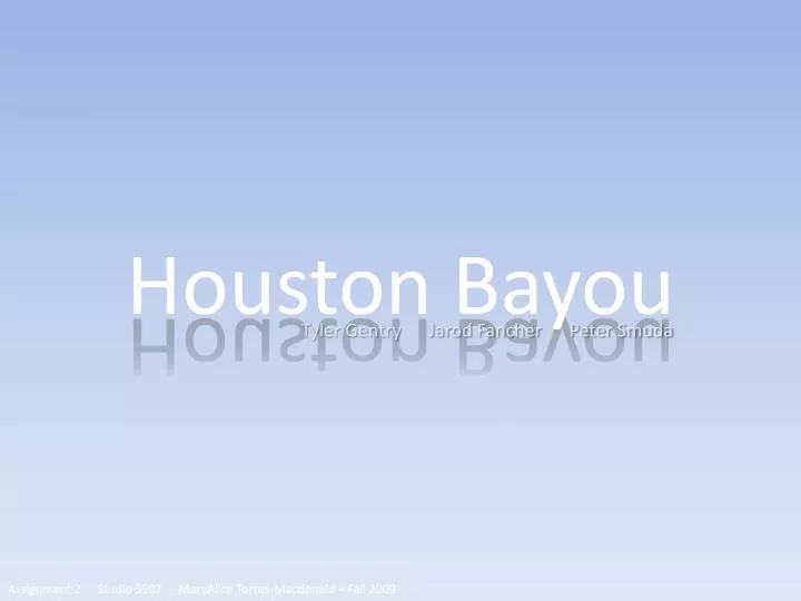 houston bayou