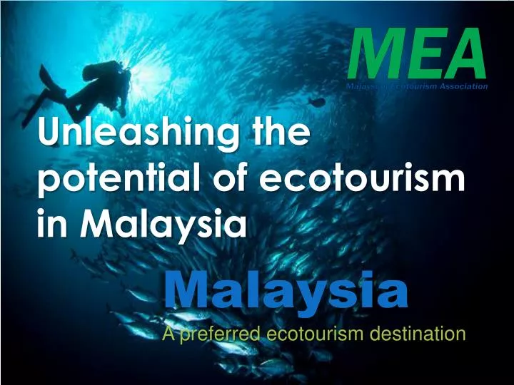 unleashing the potential of ecotourism in malaysia