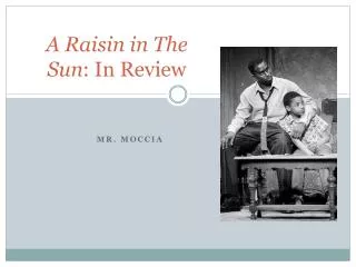 A Raisin in The Sun : In Review