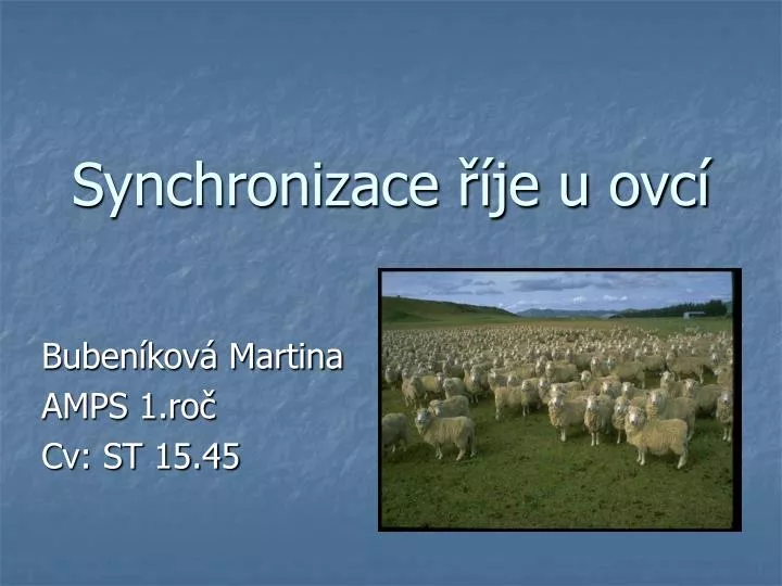 synchronizace je u ovc