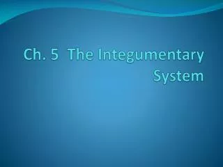 Ch. 5 The Integumentary System