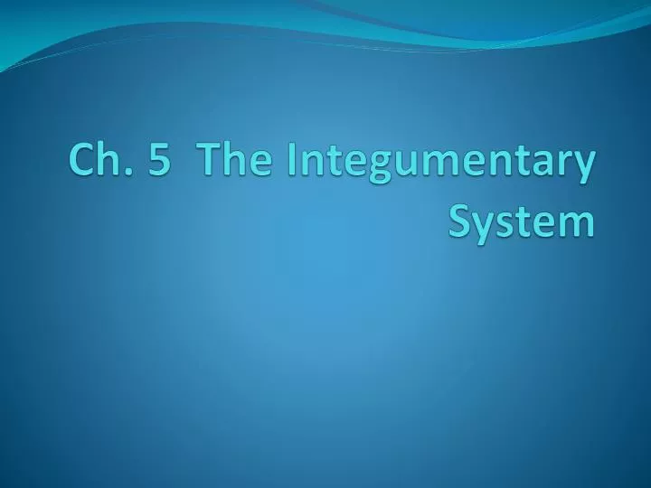 ch 5 the integumentary system