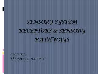 SENSORY SYSTEM RECEPTORS &amp; SENSORY PATHWAYS