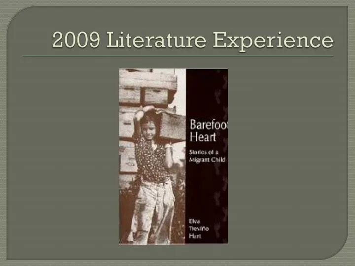 2009 literature experience