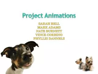 Project Animations
