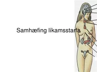 samh fing l kamsstarfa